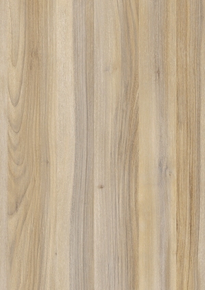 ModernWood Texture