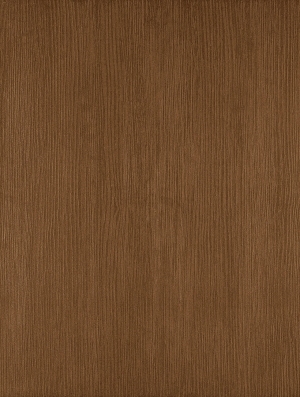 ModernWood Texture
