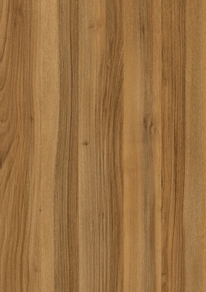 ModernWood Texture