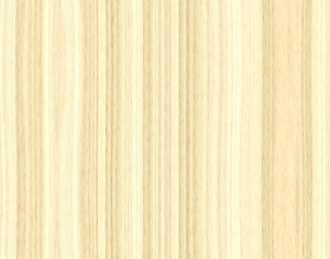 ModernWood Texture