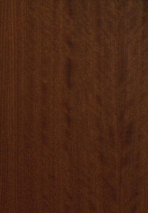 ModernWood Texture