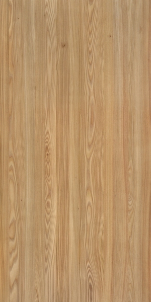 ModernWood Texture
