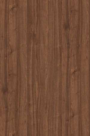 ModernWood Texture