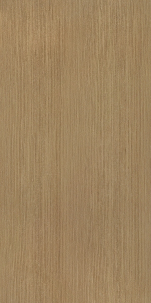 ModernWood Texture