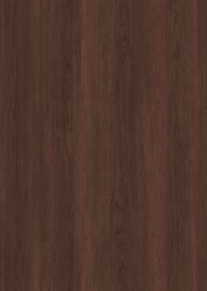 ModernWood Texture
