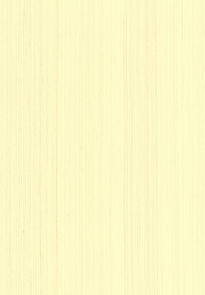 ModernWood Texture