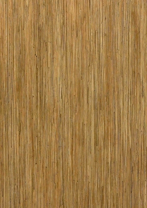 ModernWood Texture