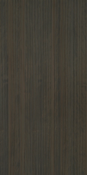 ModernWood Texture