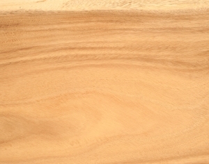 ModernWood Texture