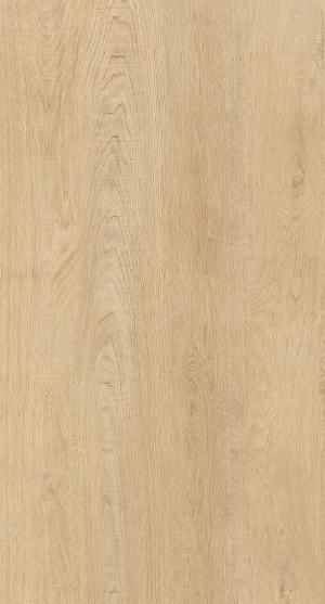 ModernWood Texture