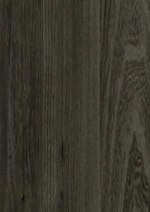 ModernWood Texture