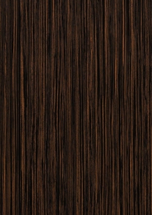 ModernWood Texture