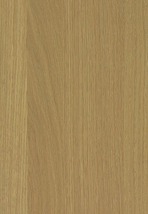 ModernWood Texture