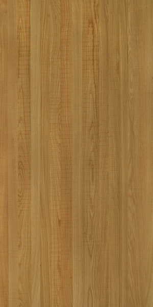 ModernWood Texture