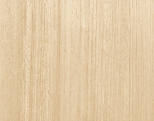 ModernWood Texture