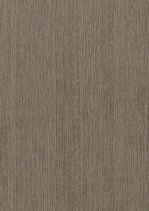 ModernWood Texture