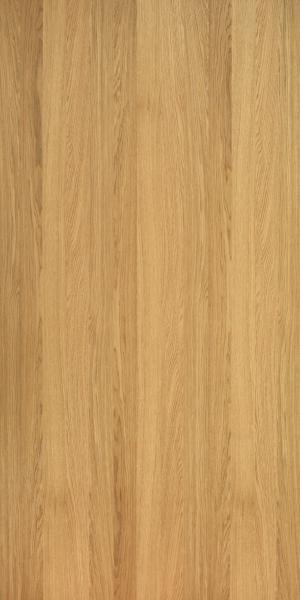 ModernWood Texture
