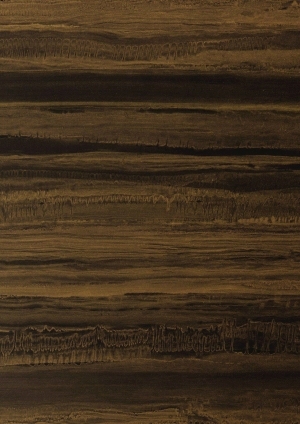 ModernWood Texture