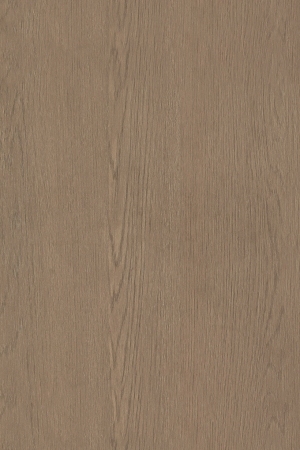 ModernWood Texture