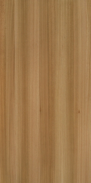 ModernWood Texture
