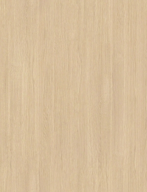 ModernWood Texture