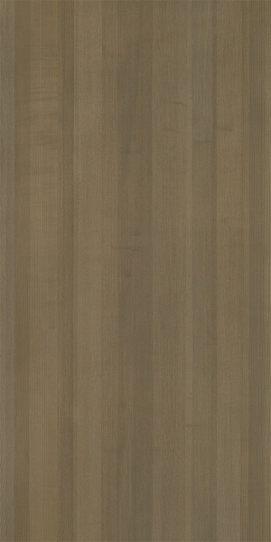 ModernWood Texture