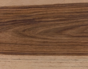 ModernWood Texture