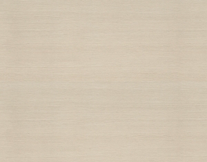 ModernWood Texture