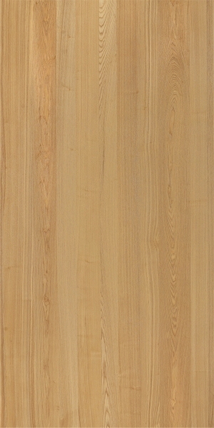 ModernWood Texture