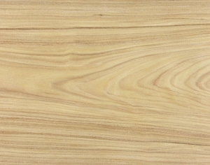 ModernWood Texture