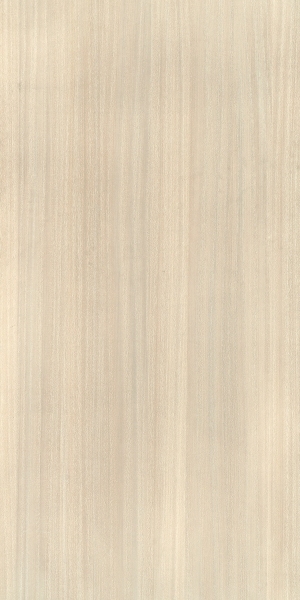 ModernWood Texture