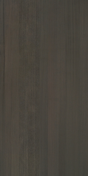 ModernWood Texture