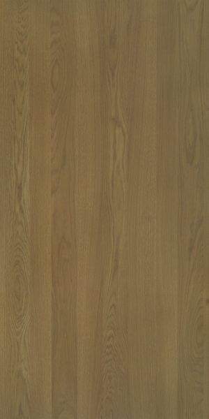 ModernWood Texture