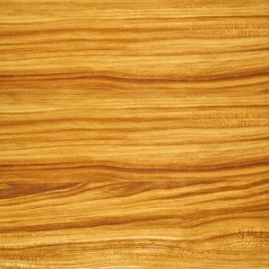 ModernWood Texture