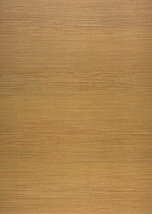 ModernWood Texture
