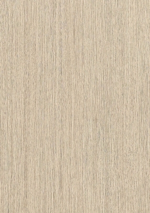 ModernWood Texture