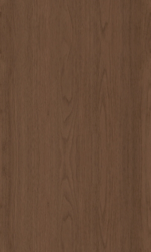 ModernWood Texture