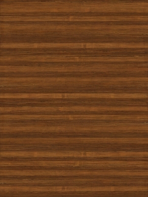 ModernWood Texture