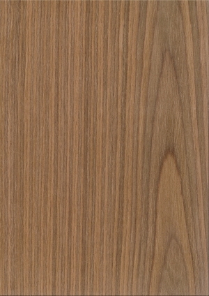ModernWood Texture