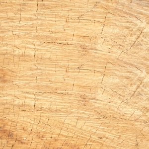 ModernWood Texture