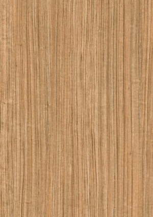 ModernWood Texture