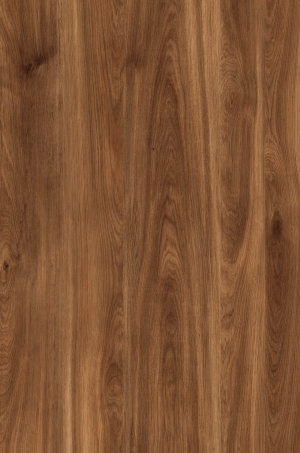 ModernWood Texture
