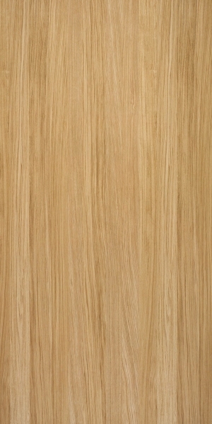 ModernWood Texture