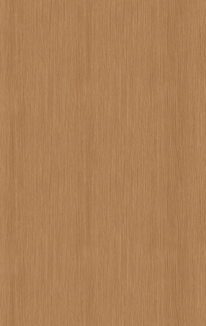 ModernWood Texture