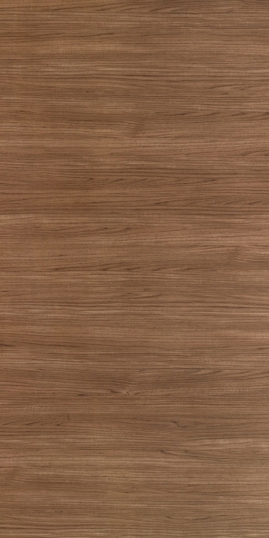 ModernWood Texture