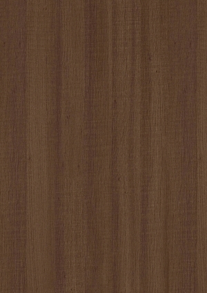 ModernWood Texture