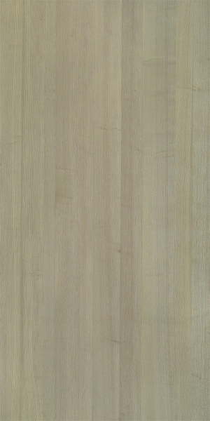 ModernWood Texture