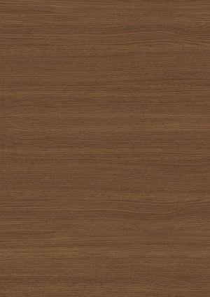 ModernWood Texture