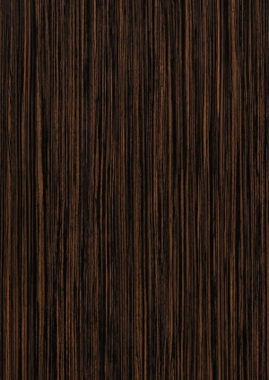 ModernWood Texture