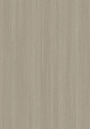 ModernWood Texture